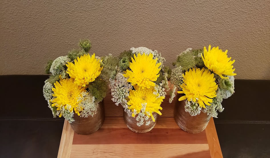 Chrysanthemum Queen Annes Lace
